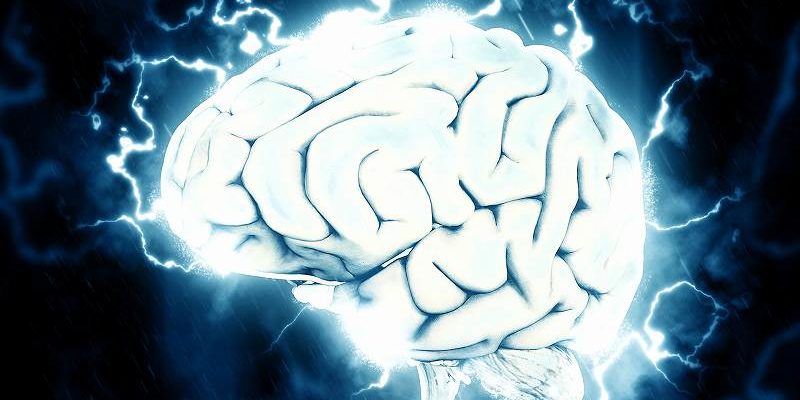 少年野球の指導者が怒鳴るのはなぜ 対策は 子どもの脳にも影響が 例文ポータル言葉のギフト