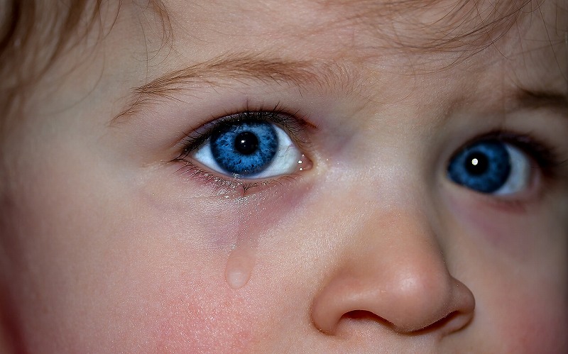 青い瞳の子供のアップ
