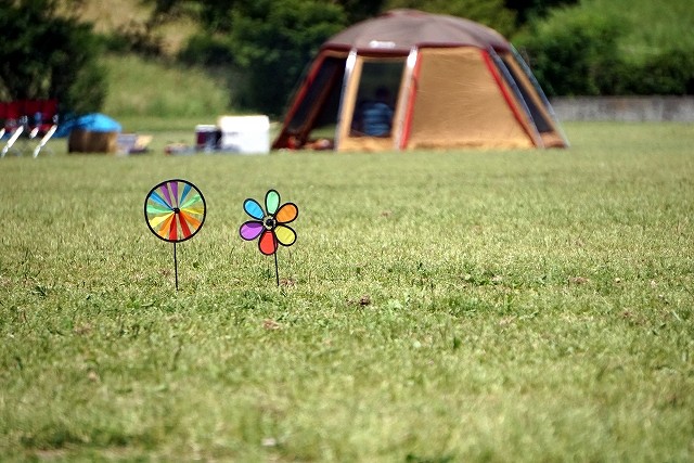 キャンプのテントと芝生
